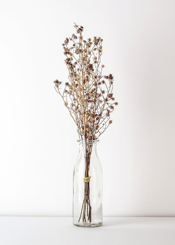 Photograph of dried flowers in glass vase against light background-12