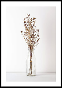 Photograph of dried flowers in glass vase against light background-0