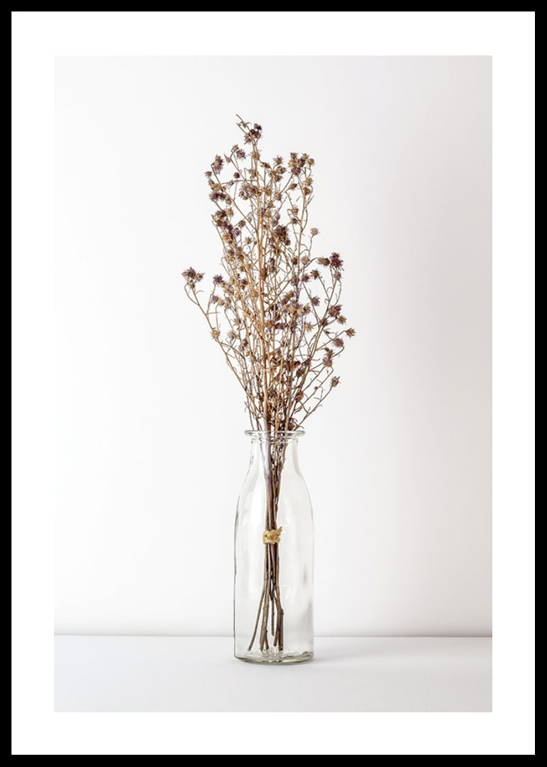 Photograph of dried flowers in glass vase against light background-12