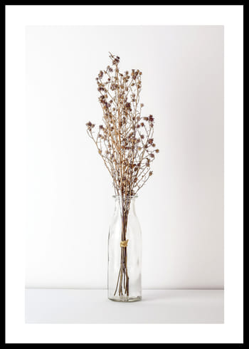 Poster Dried Bouquet No4