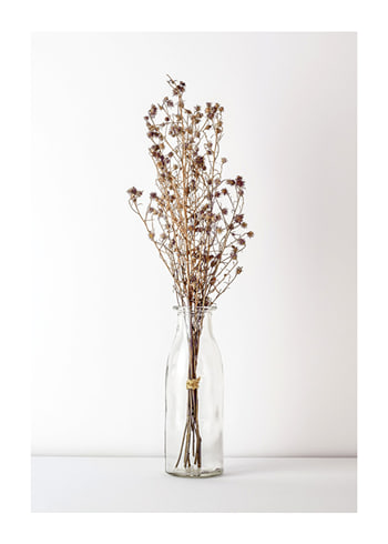 Poster Dried Bouquet No4
