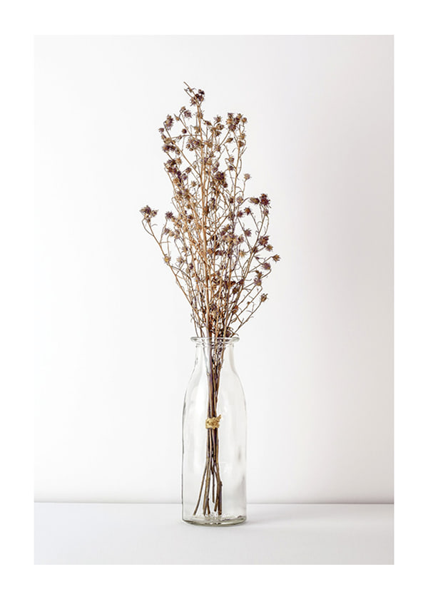 Plakāts Dried Bouquet No4