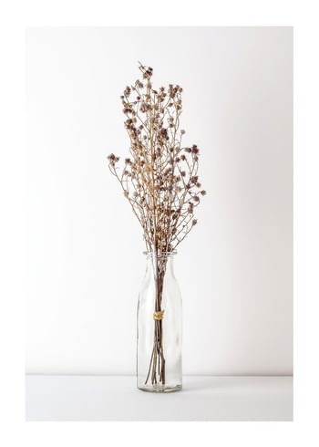 Poster Dried Bouquet No4