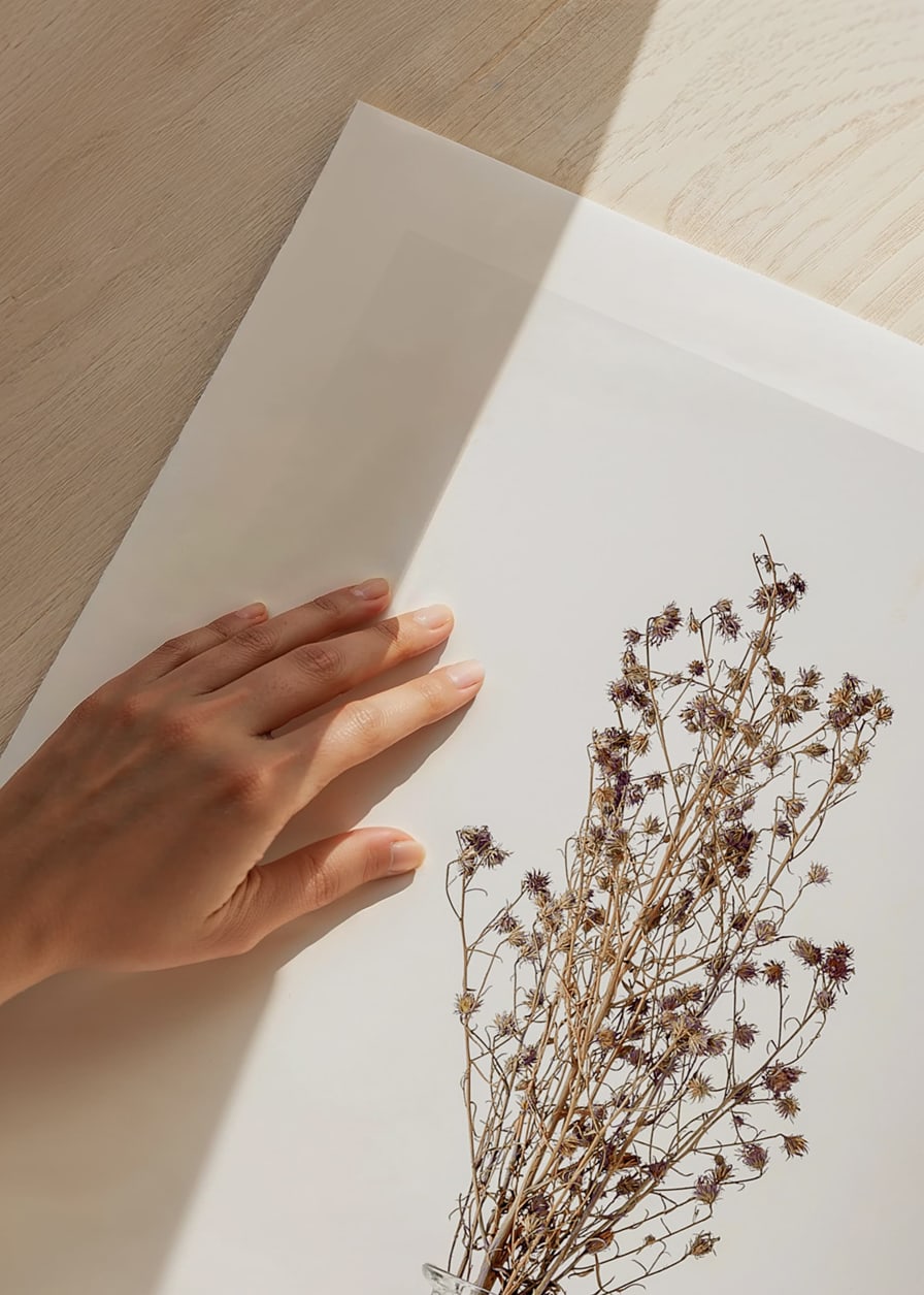 Photograph of dried flowers in glass vase against light background-12