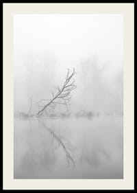 Svart-hvitt-bilde av skjeve trær ved en tåkete innsjø i høstlandskap-2