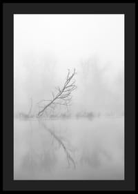 Svart-hvitt-bilde av skjeve trær ved en tåkete innsjø i høstlandskap-4