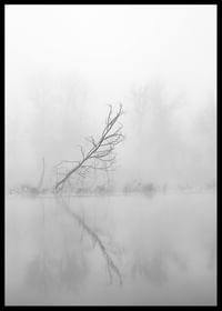 Leaning Tree-2