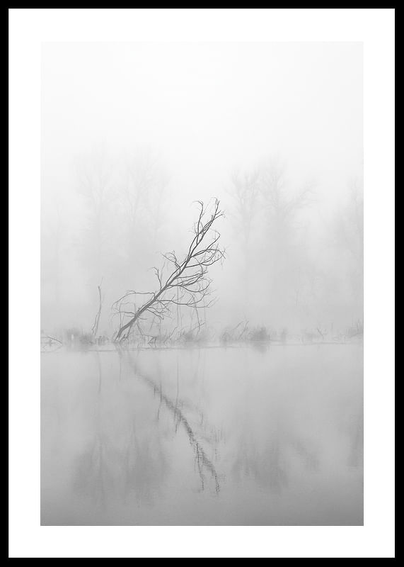 Leaning Tree-12