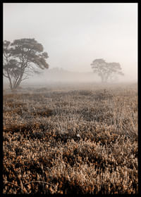 Autumn Field-2