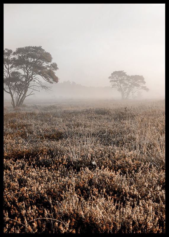 Autumn Field-12