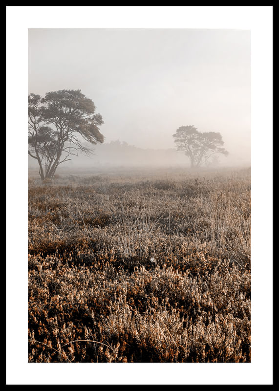 Autumn Field-12