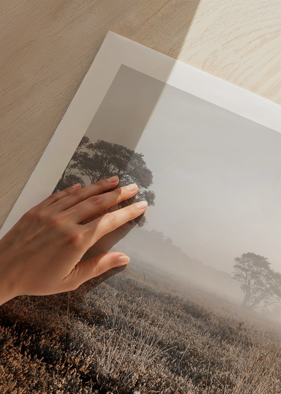 Photograph of autumnal field with grass and lonely trees in fog-12