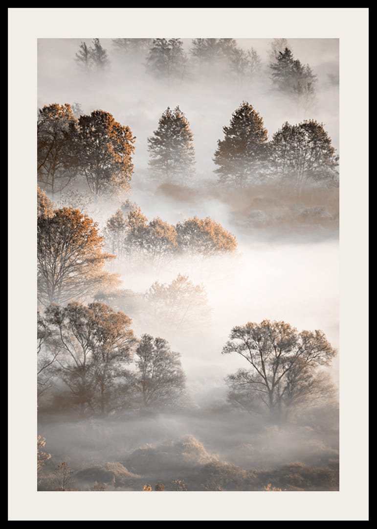 Fotografi av höstträd ovanifrån, insvepta i tät dimma-12