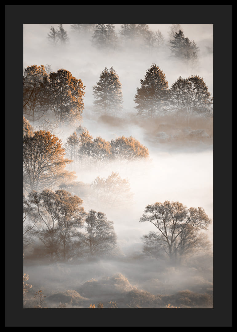 Fotografi av höstträd ovanifrån, insvepta i tät dimma-12