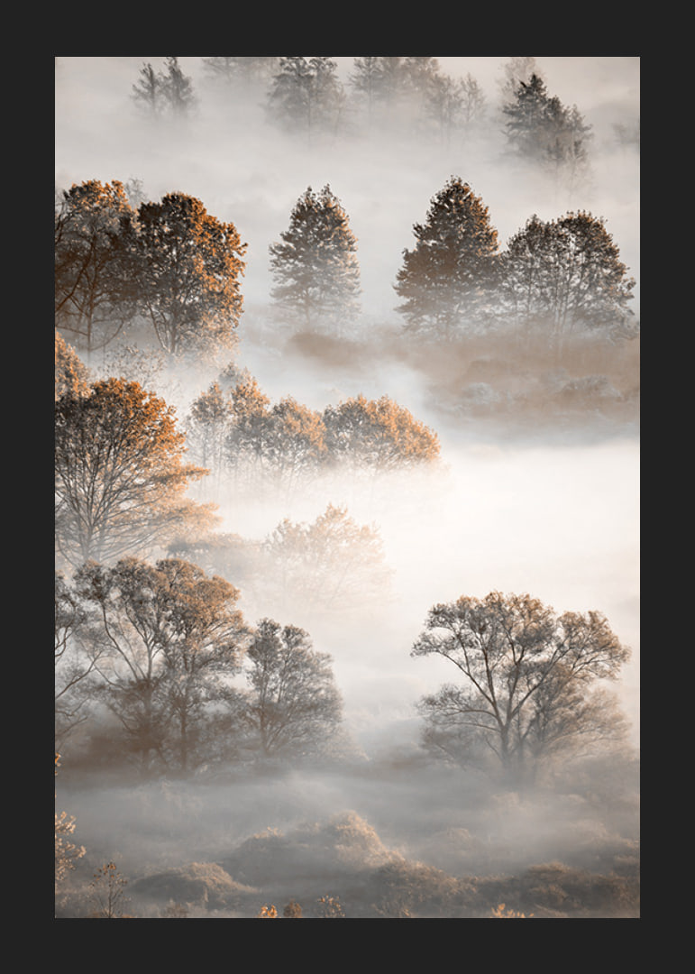 Photograph of autumn trees from above, shrouded in dense fog-12