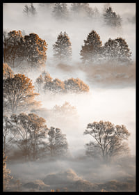 Photograph of autumn trees from above, shrouded in dense fog-6