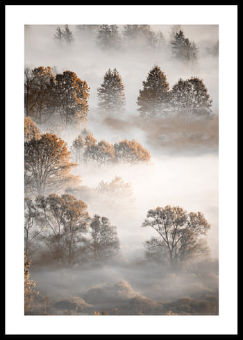 Plakat Autumn Forest