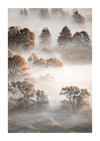 Plagát Autumn Forest