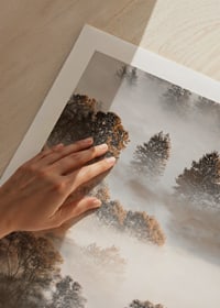 Photograph of autumn trees from above, shrouded in dense fog-9