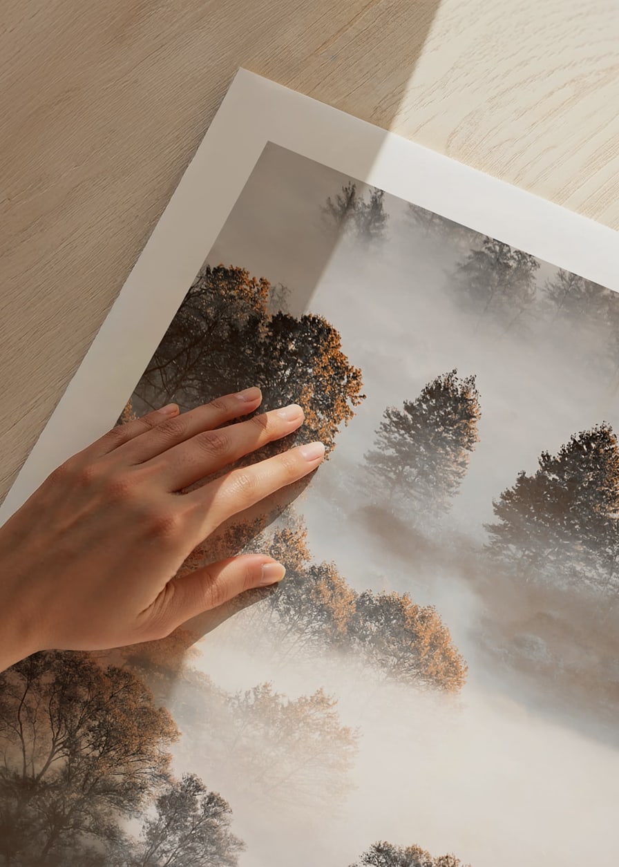 Photograph of autumn trees from above, shrouded in dense fog-12
