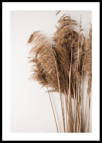 Plakat Dried Bouquet No3