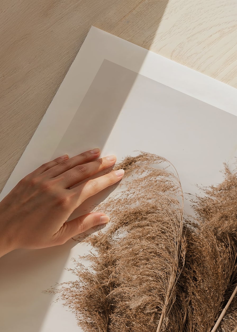 Fotografi av torkade pampasgräs i beige toner mot vit bakgrund-12