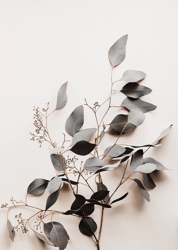 Botanical Branch-12