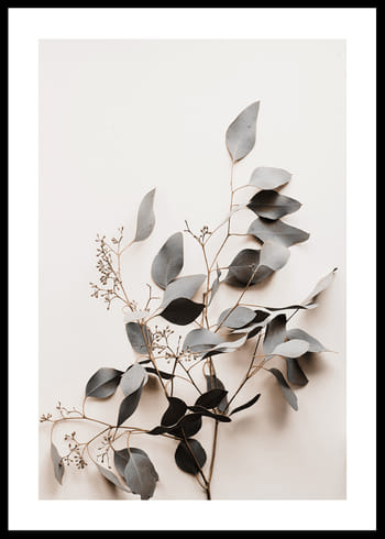 Poster Botanical Branch