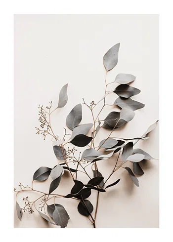 Poster Botanical Branch