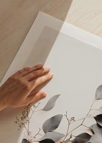 Fotografi av torkad kvist med grågröna blad mot ljus bakgrund-9