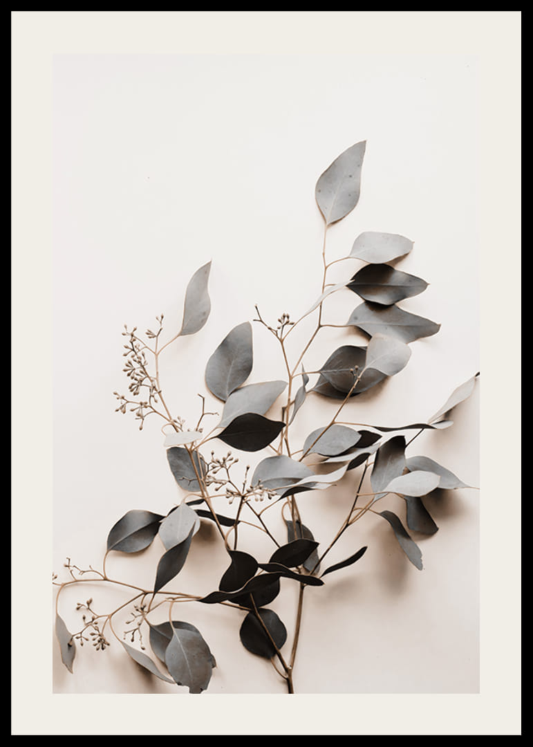 Fotografi av torkad kvist med grågröna blad mot ljus bakgrund-12