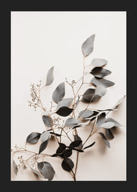 Fotografi av torkad kvist med grågröna blad mot ljus bakgrund-5