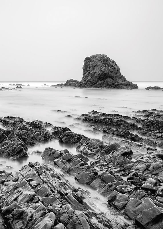 Sea Cliffs BW-12