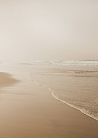 Fotografi av lång strand med vågor i mjuka beige toner-7