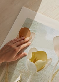 Illustrerade tulpaner i pastellfärger med mjuka blad-3