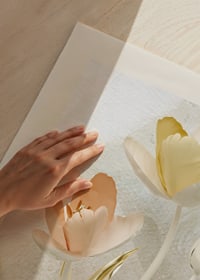 Illustrated tulips in pastel colors with gold details-3