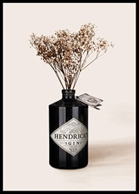 Fotografisk närbild av torkade blommor i svart ginflaska-6