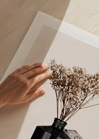 Fotografisk närbild av torkade blommor i svart ginflaska-9