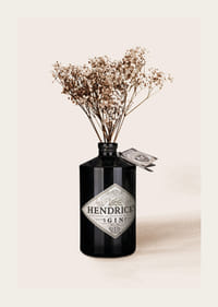 Photographic close-up of dried flowers in black gin bottle-3