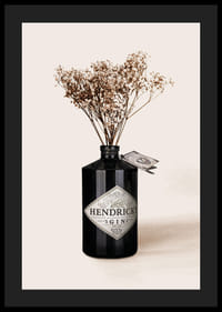 Photographic close-up of dried flowers in black gin bottle-4