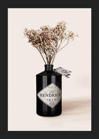 Photographic close-up of dried flowers in black gin bottle-5