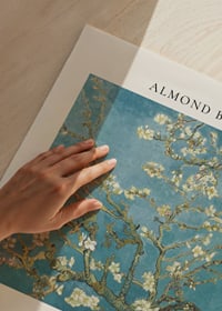 Van Gogh Almond Blossom-3