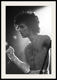 Prince-2