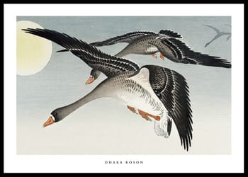 Poster Birds At Full Moon By Ohara Koson