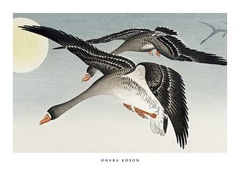 Plakat Birds At Full Moon By Ohara Koson