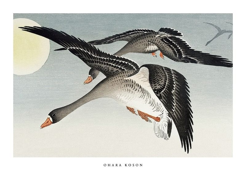 Birds At Full Moon By Ohara Koson-12