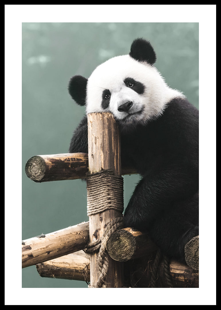 Primer plano fotográfico de un panda sobre un soporte de madera contra un fondo verde-12
