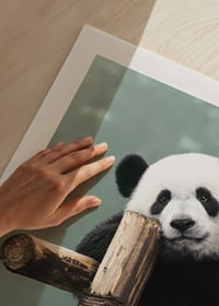 Primer plano fotográfico de un panda sobre un soporte de madera contra un fondo verde-9
