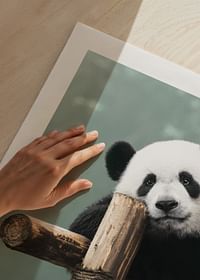 Giant Panda Bear-5