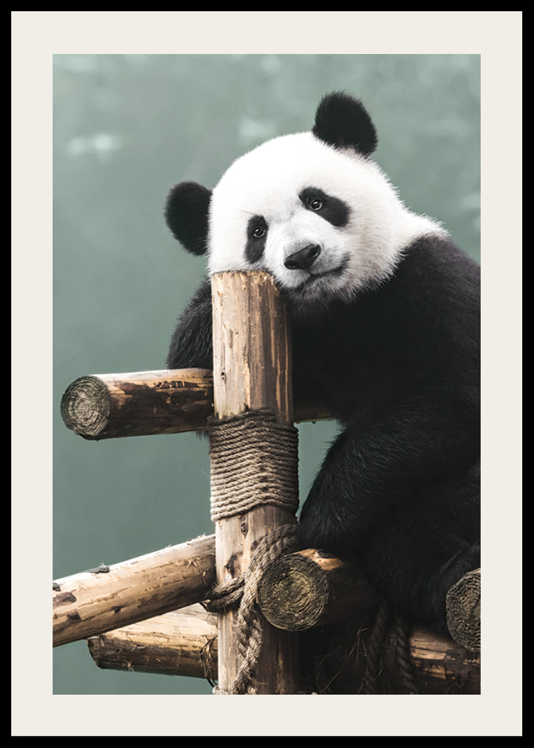 Primer plano fotográfico de un panda sobre un soporte de madera contra un fondo verde-12